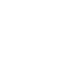 LeadFi Logo